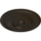 Ekena Millwork Raynor Ceiling Medallion (Fits Canopies up to 6"), Hand-Painted Stone Hearth, 20 5/8"OD x 1 3/8"P CM20BESHF - alternate 5